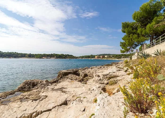 Lory With A Sea View Near The Διαμέρισμα Πούλα