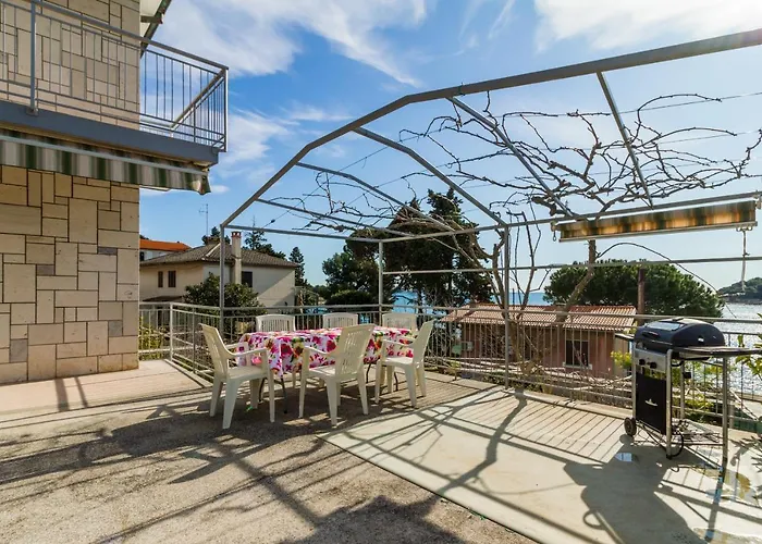 Lory With A Sea View Near The *